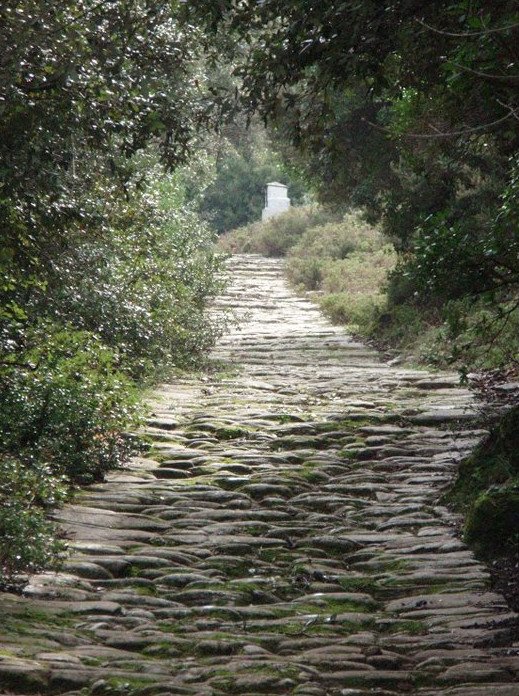 Χωριό «Ψ», στο Πήλιο -Κάνεις ψυχοθεραπεία και διακοπές μαζί [εικόνες] | iefimerida.gr 2