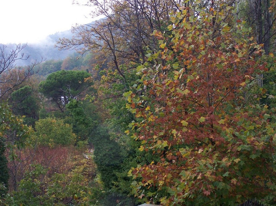 Χωριό «Ψ», στο Πήλιο -Κάνεις ψυχοθεραπεία και διακοπές μαζί [εικόνες] | iefimerida.gr 1