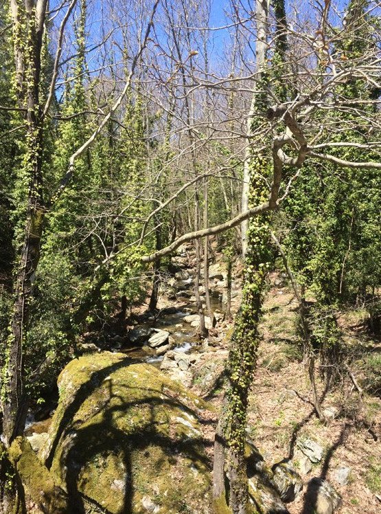 Χωριό «Ψ», στο Πήλιο -Κάνεις ψυχοθεραπεία και διακοπές μαζί [εικόνες] | iefimerida.gr 5