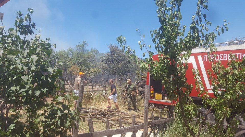 Υπό μερικό έλεγχο η πυρκαγιά σε δασική έκταση της Βέροιας [εικόνες] | iefimerida.gr 0