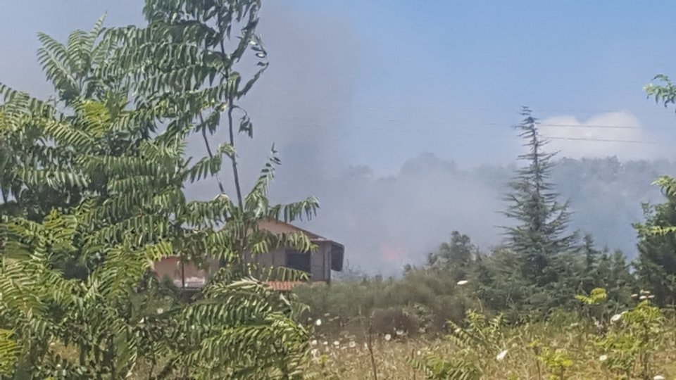 Υπό μερικό έλεγχο η πυρκαγιά σε δασική έκταση της Βέροιας [εικόνες] | iefimerida.gr 1