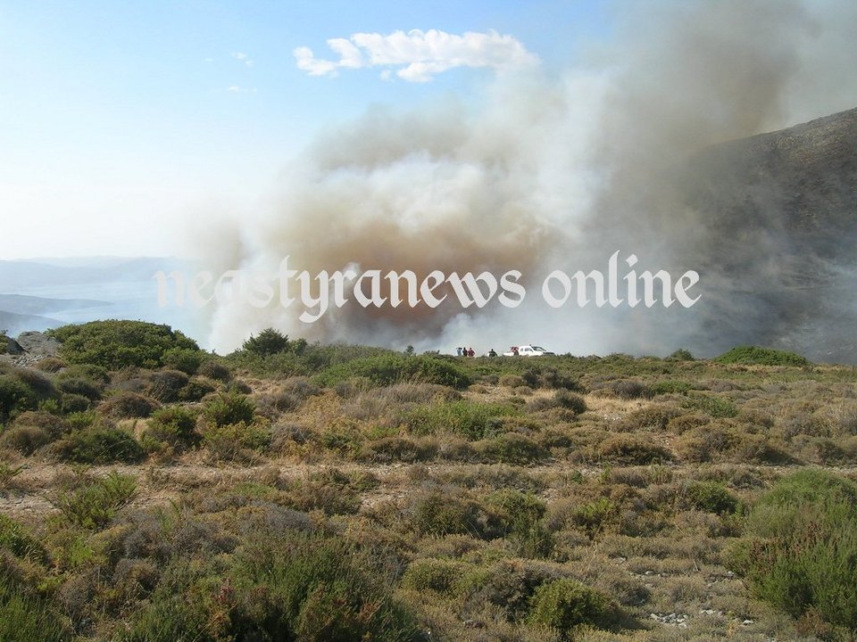 Φωτιά στην Κάρυστο -Κάηκαν σπίτια, εκκενώθηκε οικισμός [εικόνες] | iefimerida.gr 0