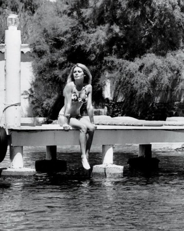 Δείτε τη βίλα της Μπριζίτ Μπαρντό στην Κυανή Ακτή, με 14 υπνοδωμάτια [εικόνες] | iefimerida.gr 8