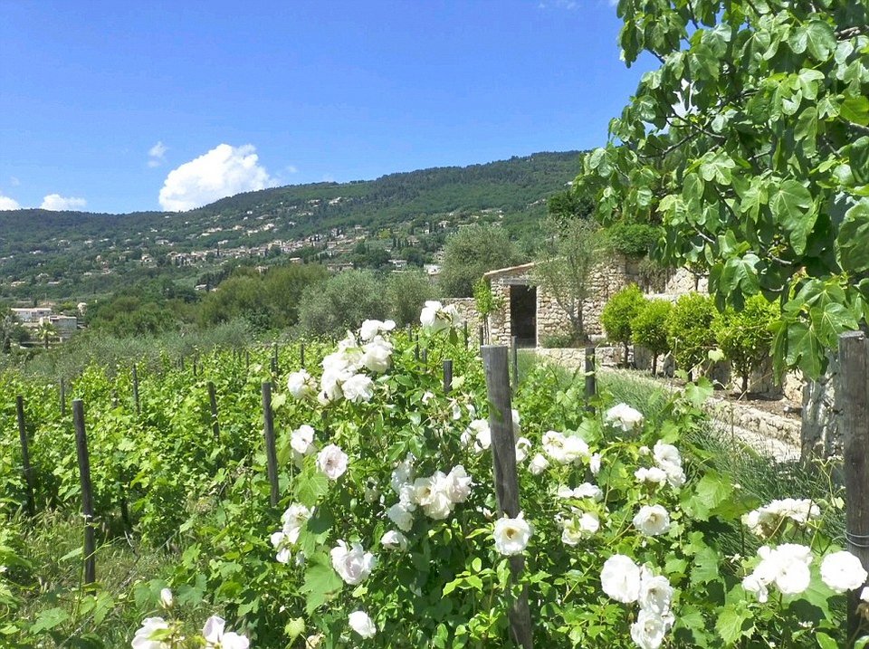 Δείτε τη βίλα της Μπριζίτ Μπαρντό στην Κυανή Ακτή, με 14 υπνοδωμάτια [εικόνες] | iefimerida.gr 6