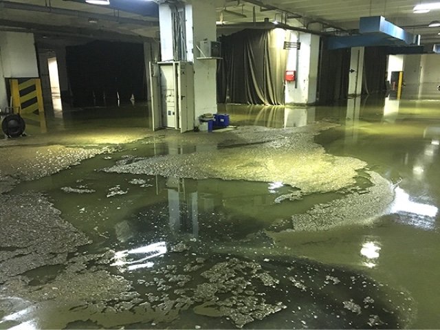 Σε έλος μετατράπηκε το Ελληνικό -Εκεί που φιλοξενούνται πρόσφυγες [εικόνες & βίντεο] | iefimerida.gr 3