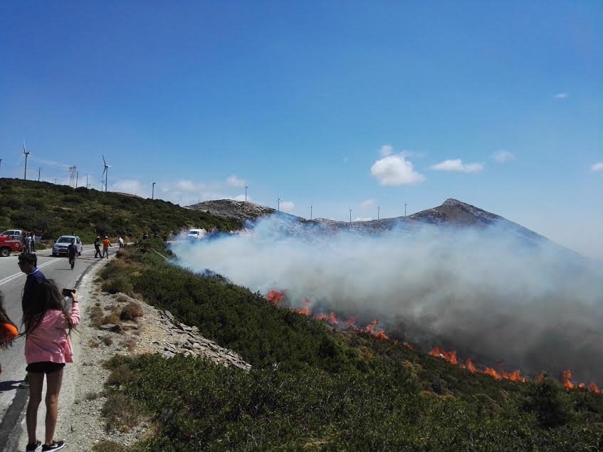 Φωτιά στην Κάρυστο -Κάηκαν σπίτια, εκκενώθηκε οικισμός [εικόνες] | iefimerida.gr 2