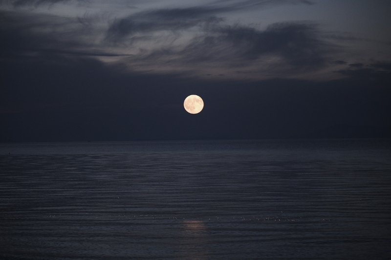 Η μαγεία της αυγουστιάτικης πανσελήνου -Βγήκαν όλοι να δουν το πιο λαμπρό φεγγάρι [εικόνες]  | iefimerida.gr 11