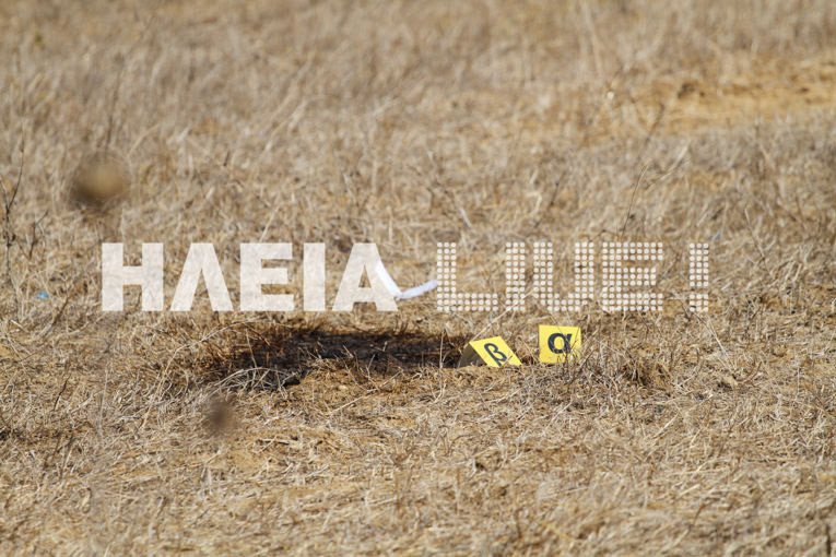 Τραγωδία στην Ηλεία: Χάθηκαν στο δρόμο και πέθαναν -Πρώτα o πατέρας, η κόρη πάλεψε να σωθεί [εικόνες & βίντεο] | iefimerida.gr 1