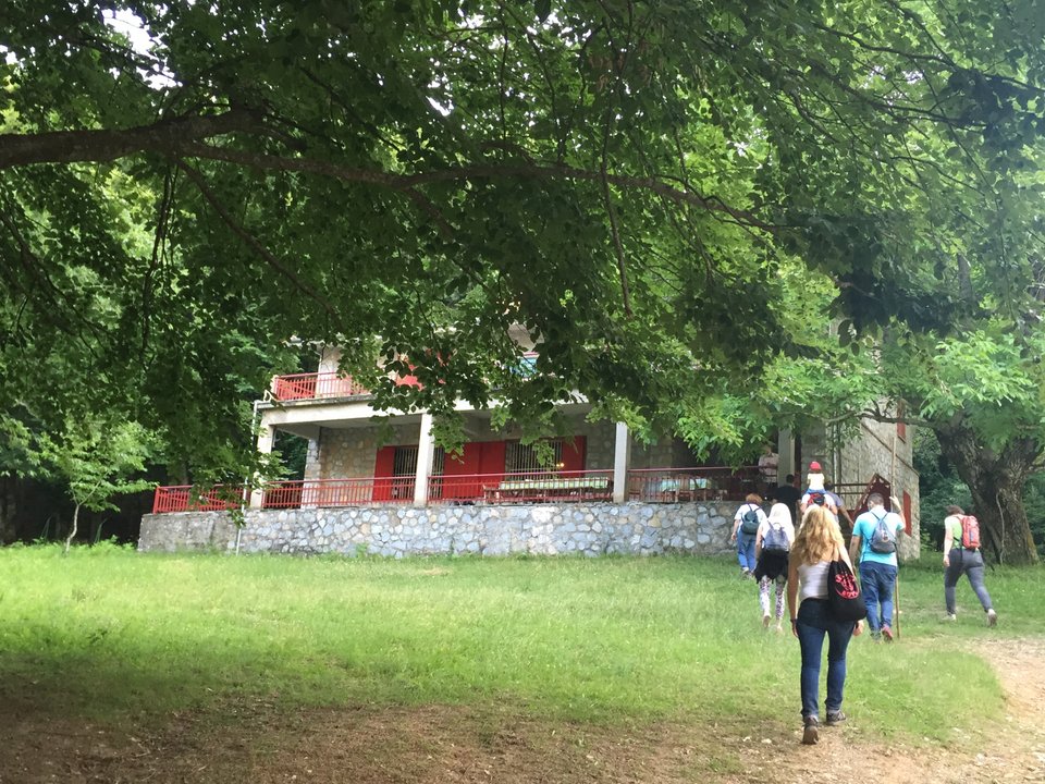 Χορτιάτης: Τριήμερο στο βουνό της πόλης -Ανακαλύπτουμε τα βότανα του τόπου | iefimerida.gr 0