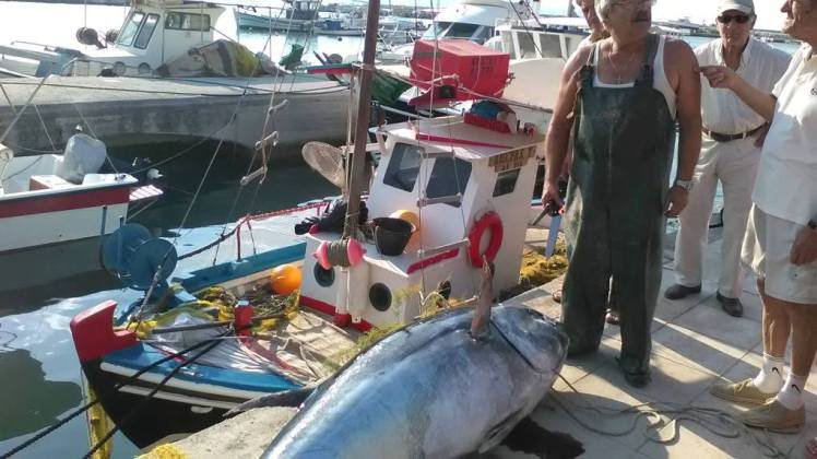 Ψαριά-γίγας στην Κεφαλονιά -Επιασαν τόνο 220 κιλών! [εικόνες] | iefimerida.gr 2