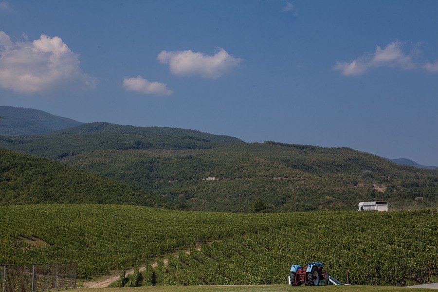 Ο γιος του Μπουτάρη μας ξεναγεί στο κτήμα του «Κυρ Γιάννη» στην Νάουσα [εικόνες] | iefimerida.gr 2