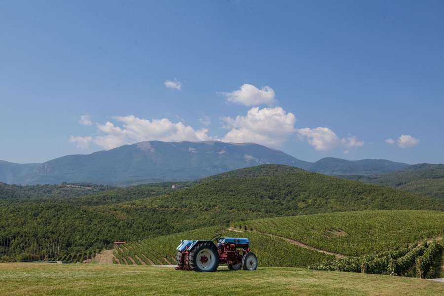 Ο γιος του Μπουτάρη μας ξεναγεί στο κτήμα του «Κυρ Γιάννη» στην Νάουσα [εικόνες] | iefimerida.gr 7