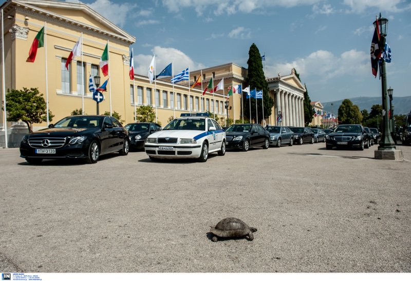 Παραλειπόμενα από τη Σύνοδο του Νότου -Αγκαλιές, φιλιά, η όμορφη τροχονόμος και η χελώνα [εικόνες] | iefimerida.gr 8