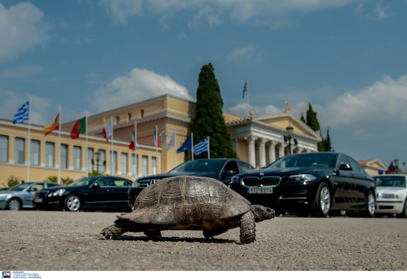 Παραλειπόμενα από τη Σύνοδο του Νότου -Αγκαλιές, φιλιά, η όμορφη τροχονόμος και η χελώνα [εικόνες] | iefimerida.gr 9