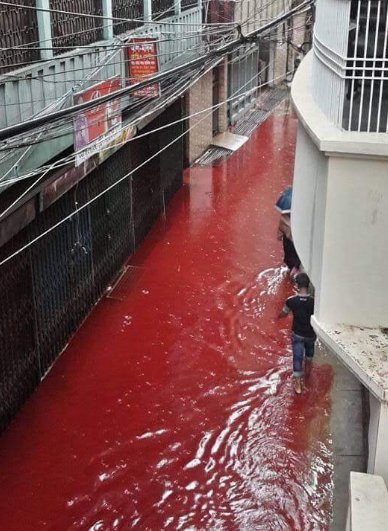 Το αίμα έρρεε ποτάμι στο Μπαγκλαντές -Αποκρουστικό θέαμα μετά τη σφαγή χιλιάδων ζώων [εικόνες] | iefimerida.gr 0