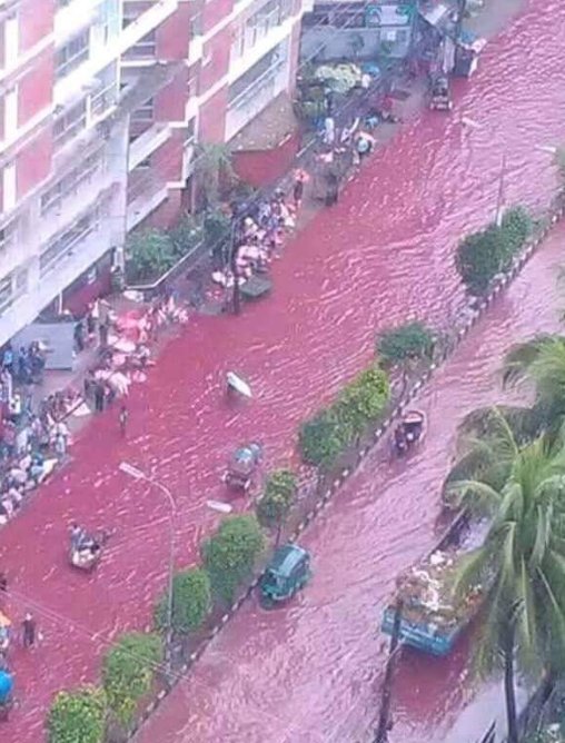 Το αίμα έρρεε ποτάμι στο Μπαγκλαντές -Αποκρουστικό θέαμα μετά τη σφαγή χιλιάδων ζώων [εικόνες] | iefimerida.gr 1