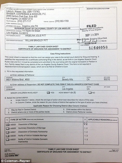 Αυτή είναι η αίτηση διαζυγίου που κατέθεσε η Αντζελίνα Τζολί [εικόνες] | iefimerida.gr 9