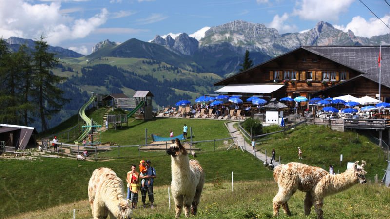 Στο Γκστάαντ το φθινόπωρο -Χωρίς τους πλούσιους επώνυμους, το ελβετικό χωριό είναι ωραιότερο [εικόνες] | iefimerida.gr 7