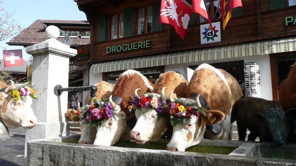 Στο Γκστάαντ το φθινόπωρο -Χωρίς τους πλούσιους επώνυμους, το ελβετικό χωριό είναι ωραιότερο [εικόνες] | iefimerida.gr 8