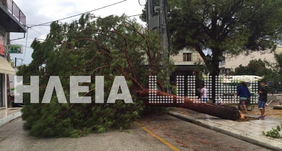  Ανεμοστρόβιλος στην Ηλεία -Επεσαν κολώνες της ΔΕΗ, ξεριζώθηκαν δέντρα [εικόνες & βίντεο] | iefimerida.gr 1