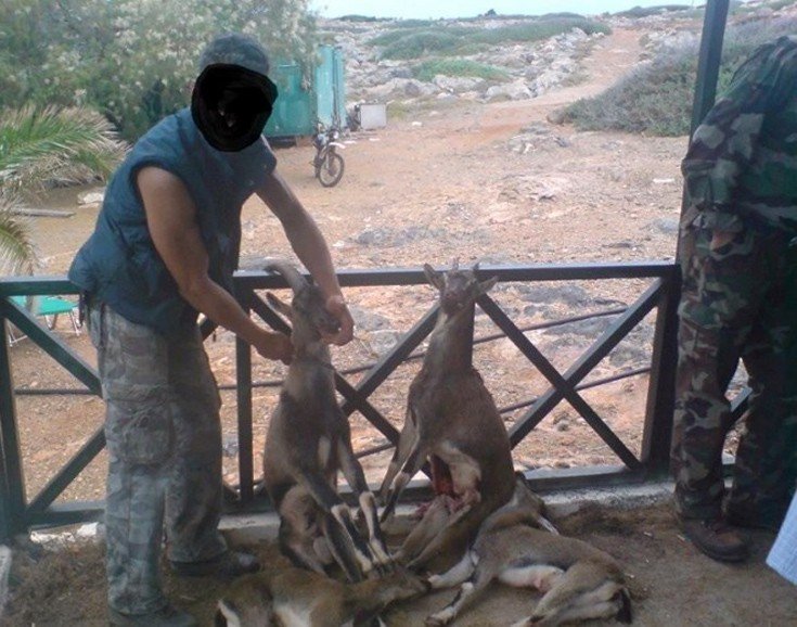 Κρήτη: Σκότωσαν κρι-κρι και καμαρώνουν στο διαδίκτυο [εικόνες] | iefimerida.gr 1