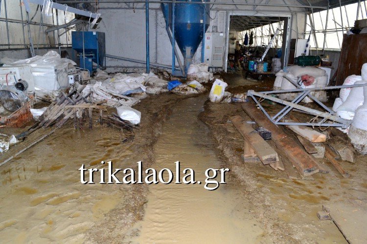 Για δεύτερη ημέρα τα Τρίκαλα έρμαιο της κακοκαιρίας – Τεράστιες καταστροφές [εικόνες&βίντεο] | iefimerida.gr 1