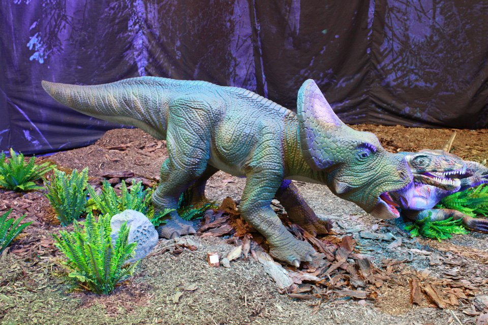 Ρεαλιστική έκθεση στο ΙΜΕ: Αντιμέτωποι με 30 είδη δεινοσαύρων σε φυσικό μέγεθος [εικόνες]  | iefimerida.gr 0