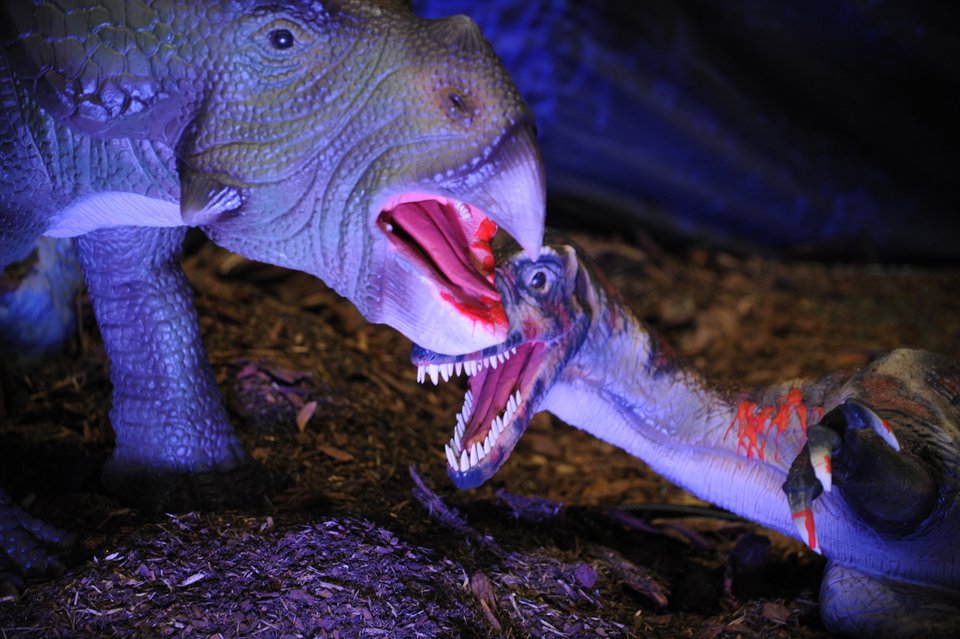 Ρεαλιστική έκθεση στο ΙΜΕ: Αντιμέτωποι με 30 είδη δεινοσαύρων σε φυσικό μέγεθος [εικόνες]  | iefimerida.gr 1