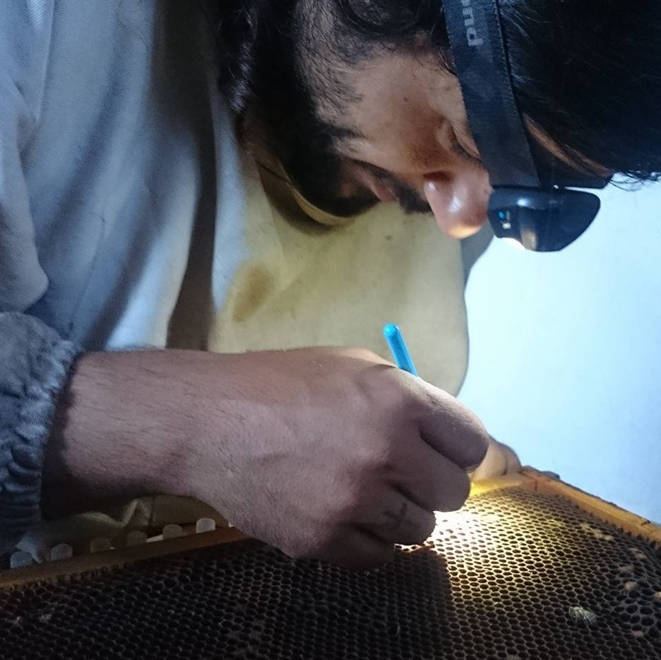 O ηθοποιός Γιώργος Σεϊταρίδης έκανε μελίσσια και μένει μόνιμα στο Πήλιο [εικόνες]  | iefimerida.gr 3