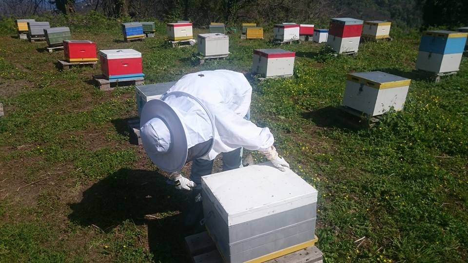 O ηθοποιός Γιώργος Σεϊταρίδης έκανε μελίσσια και μένει μόνιμα στο Πήλιο [εικόνες]  | iefimerida.gr 5