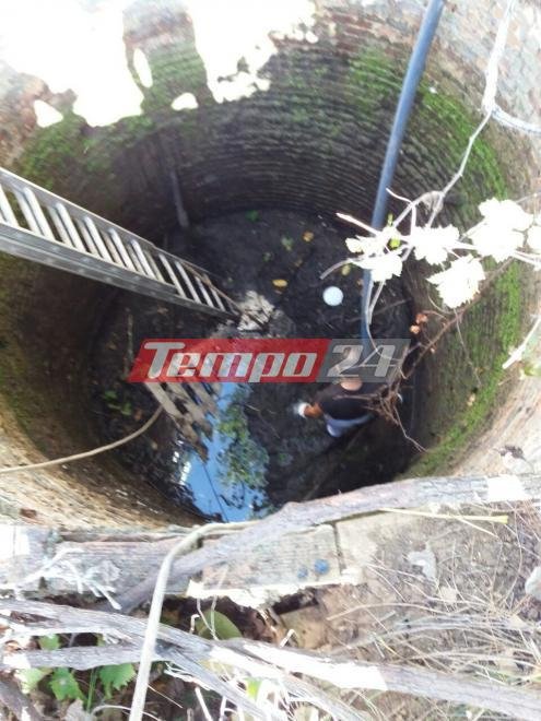 Tο πηγάδι «κρυψώνα» των αρχαιοκάπηλων στη Νεμέα – Με λάσπη ήταν καλυμμένα τα αρχαία [εικόνες] | iefimerida.gr 3