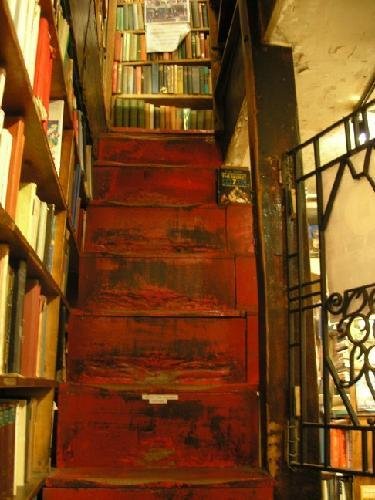 Εμπειρία ζωής: Ενα μαγικό βιβλιοπωλείο υπάρχει στο Παρίσι, όπου μπορείς και να κοιμάσαι [εικόνες] | iefimerida.gr 11