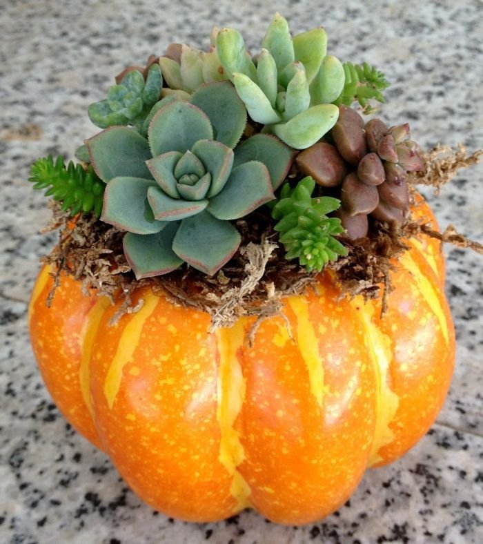 Κάντε τα φλυτζάνια σας... γλάστρες -Μια απρόσμενη ιδέα διακόσμησης [εικόνες] | iefimerida.gr 17