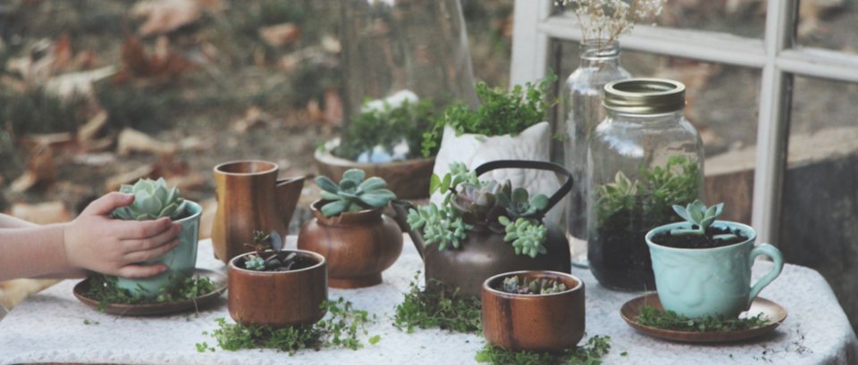Κάντε τα φλυτζάνια σας... γλάστρες -Μια απρόσμενη ιδέα διακόσμησης [εικόνες] | iefimerida.gr 18