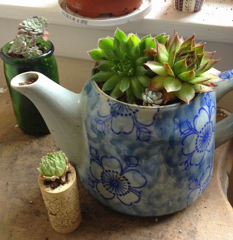 Κάντε τα φλυτζάνια σας... γλάστρες -Μια απρόσμενη ιδέα διακόσμησης [εικόνες] | iefimerida.gr 12