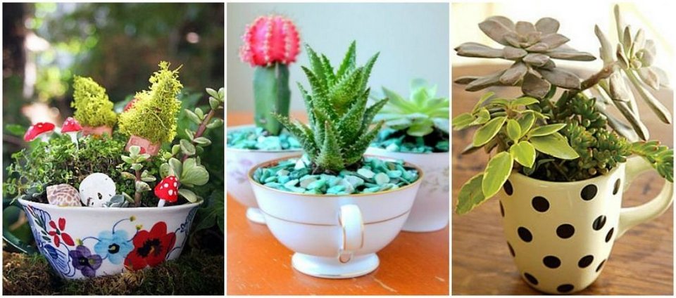 Κάντε τα φλυτζάνια σας... γλάστρες -Μια απρόσμενη ιδέα διακόσμησης [εικόνες] | iefimerida.gr 7