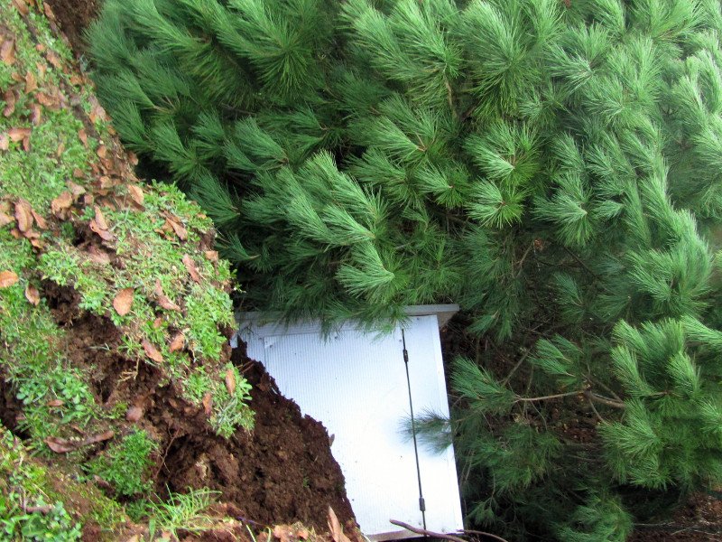 Ο σεισμός άνοιξε ρήγμα 10 μέτρων στην εθνική οδό Ιωαννίνων-Αρτας [εικόνες & βίντεο] | iefimerida.gr 0