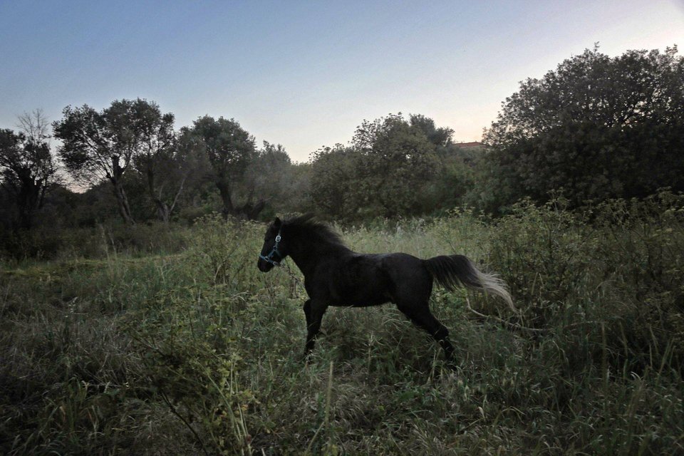 Μικρές μογγολικές σκηνές (yurt) θα γεμίσουν την πλατεία Αυδή -Ερχεται το Caravan project [εικόνες] | iefimerida.gr 3