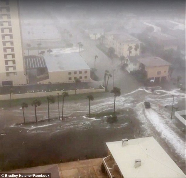 Τυφώνας Μάθιου: 900 νεκροί στη Αϊτή, 4 στη Φλόριντα- Ανησυχία για  Τζόρτζια-Καρολίνα [εικόνες & βίντεο] | iefimerida.gr 4