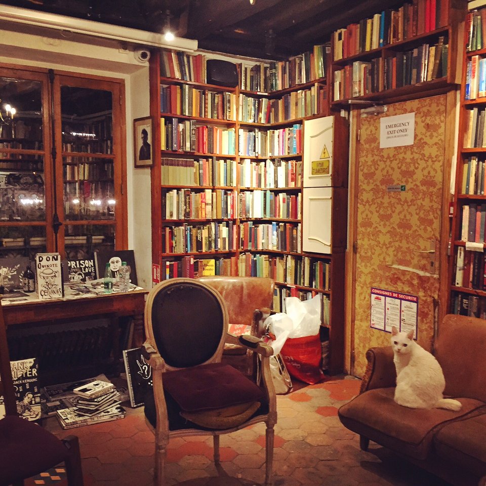 Εμπειρία ζωής: Ενα μαγικό βιβλιοπωλείο υπάρχει στο Παρίσι, όπου μπορείς και να κοιμάσαι [εικόνες] | iefimerida.gr 13