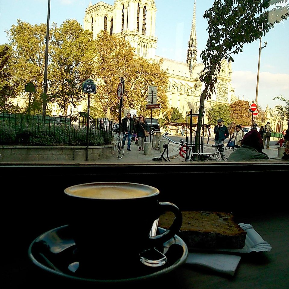 Εμπειρία ζωής: Ενα μαγικό βιβλιοπωλείο υπάρχει στο Παρίσι, όπου μπορείς και να κοιμάσαι [εικόνες] | iefimerida.gr 3