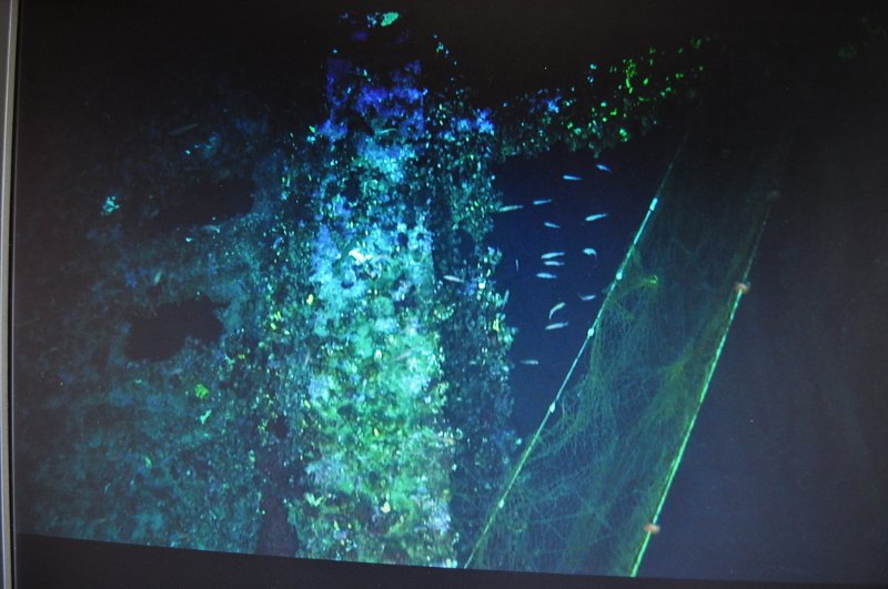 Telegraph: Πώς το ναυάγιο του Βρεταννικού μπορεί να βοηθήσει την ελληνική οικονομία [εικόνες] | iefimerida.gr 5