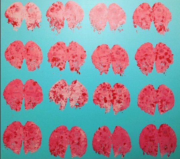 Χάρης Λίθος: Ο Ελληνας ζωγράφος που χρησιμοποιεί για πινέλο... γυναικείους γλουτούς [εικόνες]  | iefimerida.gr 1