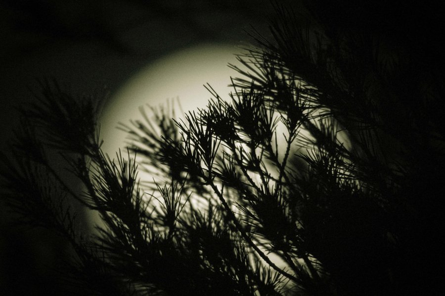 Η πανσέληνος πιο κοντά από ποτέ – Εντυπωσιακά τοπία από την Ελλάδα και όλο τον πλανήτη [εικόνες] | iefimerida.gr 1