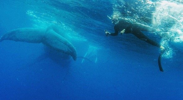 Βγήκε από το νερό για selfie, χωρίς να δει τι είναι πίσω του [εικόνες] | iefimerida.gr 2