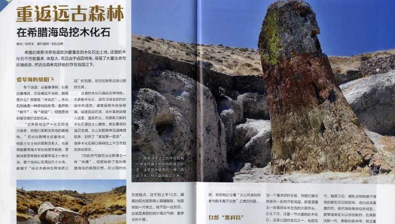 Το National Geographic Κίνας υποκλίνεται στο απολιθωμένο δάσος της Λέσβου [εικόνα]  | iefimerida.gr 0