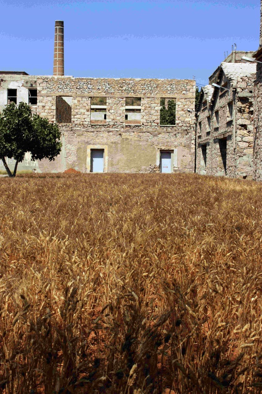 Ελευσίνα: Πολιτιστική Πρωτεύουσα 2021 -Ξεκινούν οι δράσεις μέσα στο 2017 [εικόνες] | iefimerida.gr 1