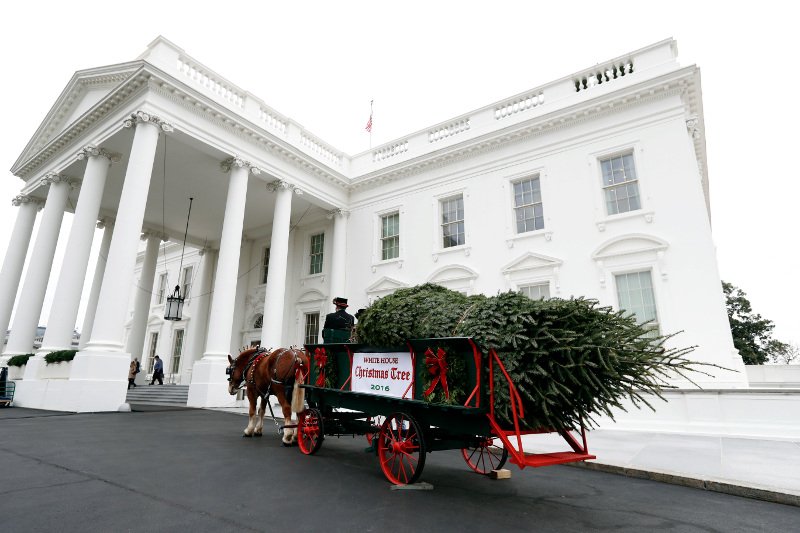 Η Μισέλ Ομπάμα υποδέχθηκε για τελευταία φορά το χριστουγεννιάτικο δέντρο -Ελειπαν πάλι οι κόρες της, τι είπε [εικόνες & βίντεο] | iefimerida.gr 4