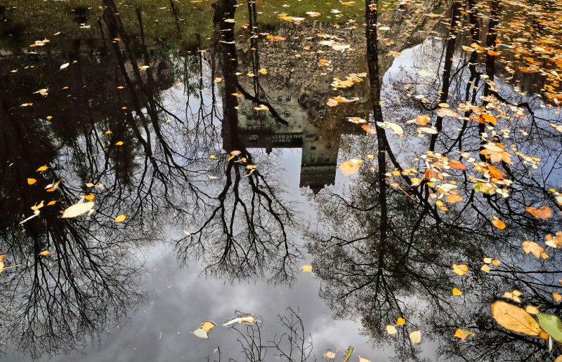 Το απόλαυσαν! Νεαρή μελαχρινή και ο αδελφός της κοιμήθηκαν στον πύργο του κόμη Δράκουλα [εικόνες]  | iefimerida.gr 5