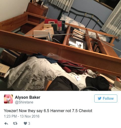 Σεισμός 7,8 Ρίχτερ στη Νέα Ζηλανδία -Τσουνάμι και νεκροί [εικόνες&βίντεο] | iefimerida.gr 2